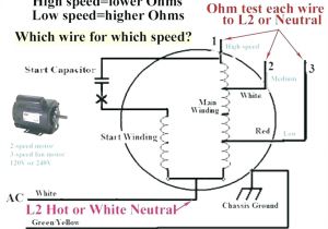 3 Speed Motor Wiring Diagram Motor Wiring Diagram 19 Wiring Diagram 3 Speed Motor Wiring Diagram Motor Wiring Diagram 19 Wiring Diagram
