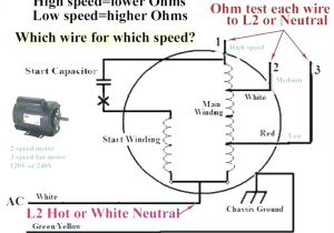 3 Speed Motor Wiring Diagram Motor Wiring Diagram 19 Wiring Diagram