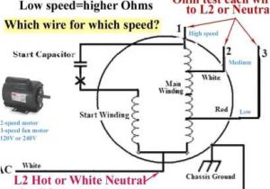3 Speed Table Fan Motor Wiring Diagram Dm 2156 Three Speed Fan Motor Wiring Schematic Schematic Wiring