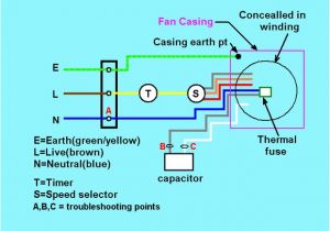 3 Speed Table Fan Motor Wiring Diagram Wiring Diagram Table Blog Wiring Diagram