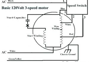 3 Speed Table Fan Wiring Diagram Ceiling Fan Capacitor 5 Wire 5 Wire Capacitor Quickguideme