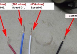 3 Speed Table Fan Wiring Diagram Wiring Diagram for A Pedestal Fan Electrical Engineering Wiring