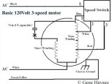 3 Speed Table Fan Wiring Diagram Wiring Diagram for A Pedestal Fan Electrical Engineering Wiring