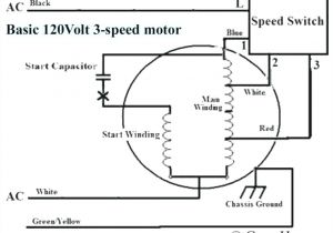 3 Speed Table Fan Wiring Diagram Wiring Diagram for A Pedestal Fan Electrical Engineering Wiring