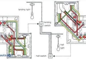 3 Way Gang Switch Wiring Diagram Winning Single Pole Dimmer Switch Wiring Diagram 1 Way Light