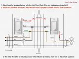 3 Way Switch with Dimmer Wiring Diagram Ground Monitor C120 Wiring Diagram Wiring Diagram Blog