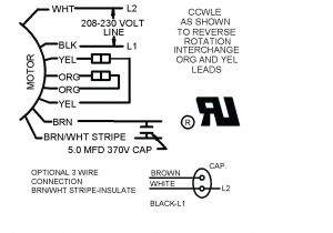 3 Wire Condenser Fan Motor Wiring Diagram A C Condenser Fan Capacitor Wiring Diagram Wiring Diagram View 3 Wire Condenser Fan Motor Wiring Diagram A C Condenser Fan Capacitor Wiring Diagram Wiring Diagram View