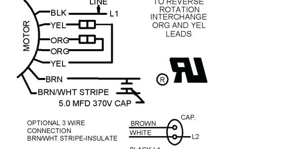 3 Wire Condenser Fan Motor Wiring Diagram A C Condenser Fan Capacitor Wiring Diagram Wiring Diagram View