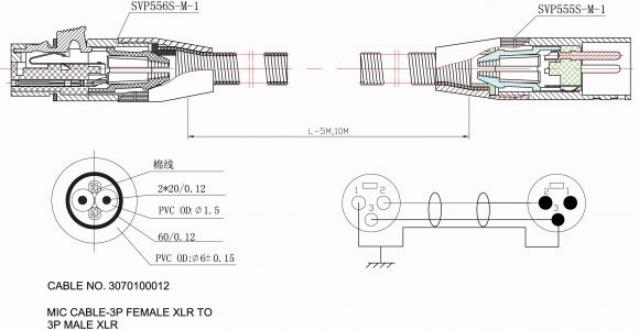 3 Wire Extension Cord Wiring Diagram Extension Cord 20a 250v Wiring Diagram Wiring Diagrams Value