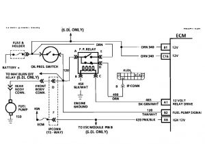 3 Wire Oil Pressure Switch Wiring Diagram Fuse Box Diagram 1996 Plymouth Neon Oil Pump Wiring Diagram Ops 3 Wire Oil Pressure Switch Wiring Diagram Fuse Box Diagram 1996 Plymouth Neon Oil Pump Wiring Diagram Ops