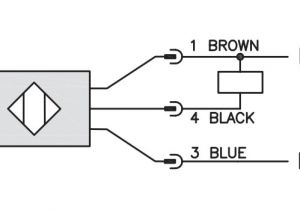 3 Wire Proximity Sensor Wiring Diagram How to Identify and Use Npn Sensors Technical Articles 3 Wire Proximity Sensor Wiring Diagram How to Identify and Use Npn Sensors Technical Articles