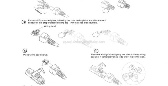 3 Wire Stove Plug Wiring Diagram Cat 6 Plug Wiring Diagram Wiring Diagram Database