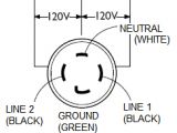 30 Amp Generator Plug Wiring Diagram Wiring Diagram for 220 Volt Generator Plug Bookingritzcarlton Info