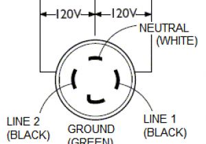 30 Amp Generator Plug Wiring Diagram Wiring Diagram for 220 Volt Generator Plug Bookingritzcarlton Info