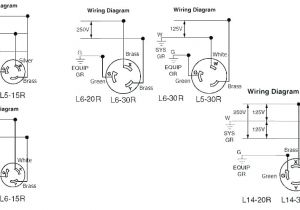 30a 125 250v Locking Plug Wiring Diagram Ww 4617 Wiring A L14 30p Plug Diagram Wiring Diagram