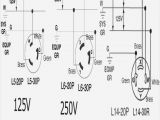30a 125 250v Wiring Diagram 30 480 Volt Female Also Wiring Nema Plug Chart On Nema L14 30r