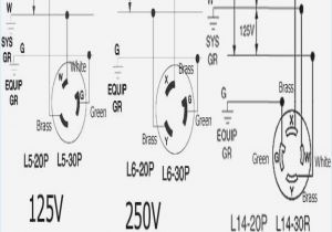 30a 125 250v Wiring Diagram 30 480 Volt Female Also Wiring Nema Plug Chart On Nema L14 30r 30a 125 250v Wiring Diagram 30 480 Volt Female Also Wiring Nema Plug Chart On Nema L14 30r