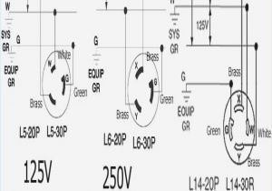 30a 125 250v Wiring Diagram 30 480 Volt Female Also Wiring Nema Plug Chart On Nema L14 30r