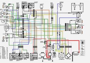 350 Warrior Wiring Diagram 1998 Yamaha Warrior Wiring Diagram Wiring Diagram Library2007 Yamaha