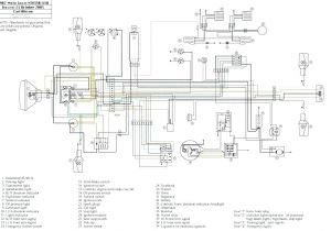 350 Warrior Wiring Diagram Yama Wiring Diagram Wiring Diagram