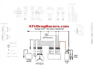 350 Warrior Wiring Diagram Yamaha Sdometer Wiring Diagram