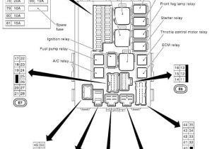 350z Radio Wiring Diagram 2001 Nissan 350z Fuse Box Wiring Diagram 350z Radio Wiring Diagram 2001 Nissan 350z Fuse Box Wiring Diagram