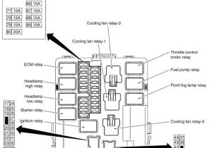 350z Wiring Harness Diagram 350z Fuse Box Layout Wiring Diagram Centre 350z Wiring Harness Diagram 350z Fuse Box Layout Wiring Diagram Centre