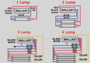 4 Bulb Ballast Wiring Diagram asb Sign Ballast Wiring Diagram Wiring Diagrams Pm