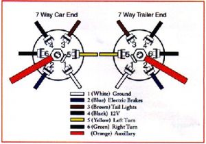 4 Flat to 7 Blade Wiring Diagram 7 Blade Rv Wiring Wiring Diagram Technic