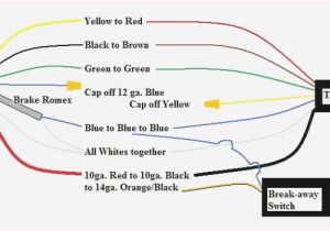 4 Flat Trailer Wiring Diagram Wishbone Trailer Wiring Harness Diagram Wiring Diagram Files