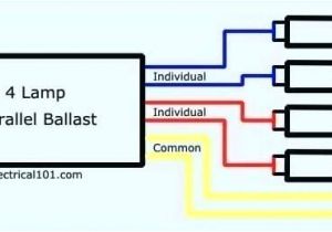 4 Lamp T5 Ballast Wiring Diagram 4 Lamp T5 Wiring Diagram Wiring Diagram Go 4 Lamp T5 Ballast Wiring Diagram 4 Lamp T5 Wiring Diagram Wiring Diagram Go