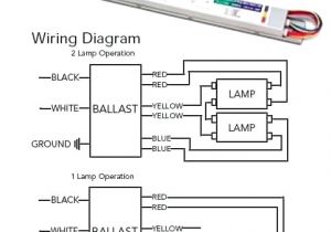 4 Lamp T5 Ballast Wiring Diagram T5 Fluorescent Wiring Diagram Schema Wiring Diagram 4 Lamp T5 Ballast Wiring Diagram T5 Fluorescent Wiring Diagram Schema Wiring Diagram