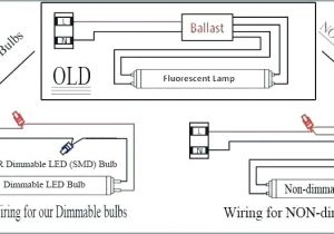 4 Lamp T8 Ballast Wiring Diagram Wiring Diagram for 8 Foot 4 Lamp T8 Ballast Wiring Diagrams Ments