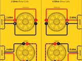 4 Ohm Dual Voice Coil Wiring Diagram L7 Wiring Diagram Book Diagram Schema