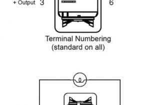 4 Pin Carling Switch Wiring Diagram 32 4 Prong Rocker Switch Wiring Diagram Wire Diagram 4 Pin Carling Switch Wiring Diagram 32 4 Prong Rocker Switch Wiring Diagram Wire Diagram