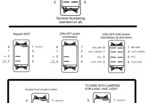 4 Pin Carling Switch Wiring Diagram Carling Contura Rocker Switches Explained the Hull Truth