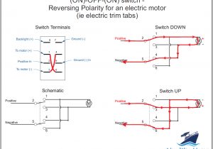 4 Pin Carling Switch Wiring Diagram Lighted 4 Pin Rocker Switch Wiring Diagram Wiring Diagram