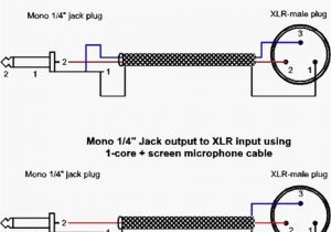 4 Pin Mini Xlr Wiring Diagram Mini Xlr Wiring Diagram Wiring Diagram Autovehicle