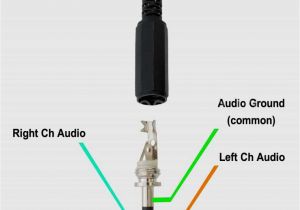 4 Pole Speakon Wiring Diagram 3 5mm Stereo to Xlr Diagram Wiring Schematic Wiring Diagram Center
