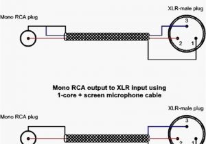 4 Pole Speakon Wiring Diagram Speakon Wiring Diagram Wiring Diagram