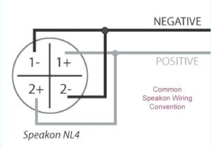 4 Pole Speakon Wiring Diagram Speakon Wiring Diagram Wiring Diagrams Global
