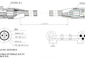 4 Prong Generator Plug Wiring Diagram 30 Amp Generator Plug Wiring Diagram Learningpeople Co