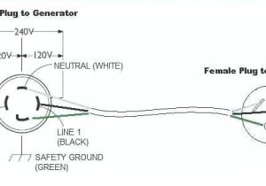4 Prong Generator Plug Wiring Diagram L14 30 Wiring Diagram Wiring Diagram Centre