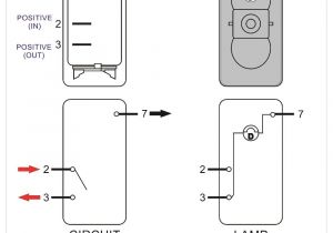 4 Prong Switch Wiring Diagram Spdt Rocker Switch Wiring Diagram Wiring Diagram Name