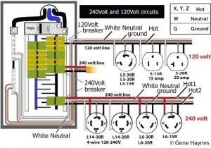 4 Prong Twist Lock Plug Wiring Diagram L14 30 to L5 Wiring Diagram Schema Receptacle Co Clean Dryer Plug L
