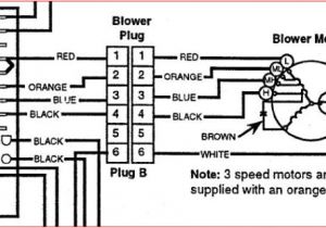 4 Speed Blower Motor Wiring Diagram 35016 Hvac Blower Wiring Pictures Wiring Diagram