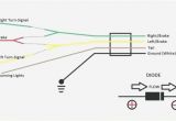4 Way Wiring Diagram for Trailer Lights 4 Pin Flat Trailer Wiring Harness Wiring Diagram Mega