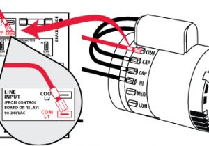 4 Wire Condenser Fan Motor Wiring Diagram 4 Wire Motor Diagram Schema Diagram Database 4 Wire Condenser Fan Motor Wiring Diagram 4 Wire Motor Diagram Schema Diagram Database