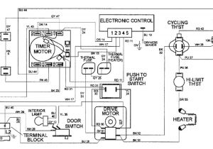 4 Wire Dryer Wiring Diagram Dexter Dryer Wiring Schematic Diagram Wiring Diagram Expert
