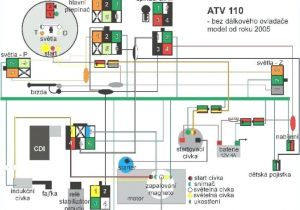 4 Wire Ignition Switch Diagram atv Msd Ignition Wiring Diagram for Cdi Wiring Diagram Center